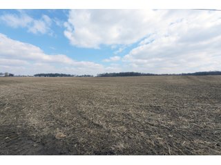 TRACT 14 - MAJOR LAND AUCTION - 719+/- ACRES OFFERED IN 14 TRACTS IN ALLEN COUNTY, OHIO